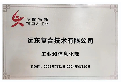 BG真人复合技术专精特新小巨人企业